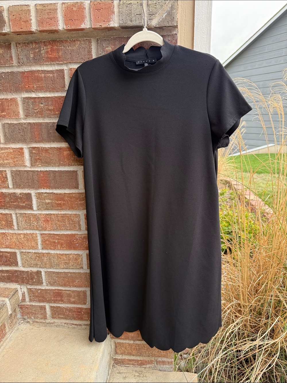 Tiana B. Ladies 16W Black Scallop Hem Mock Neck Short Sleeve Dress